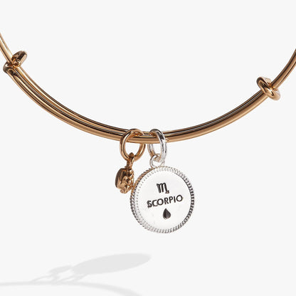 Alex and Ani Scorpio zodiac charm bangle in rose gold with round white enamel SCORPIO pendant on Tampa Home & Garden Store