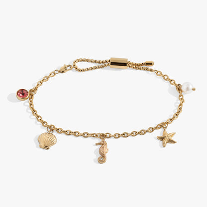 Seaside Anklet gold-tone chain with seashell and starfish charms on Tampa Home & Garden Store