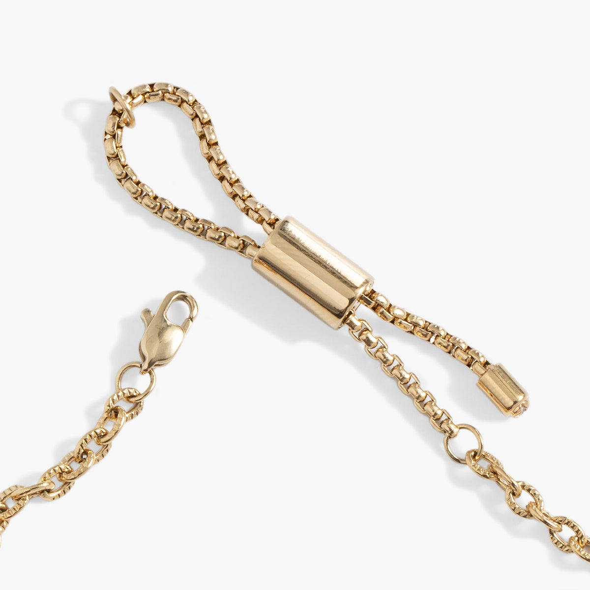 Seaside Anklet gold-tone curb-link chain with clasp ALEX AND ANI on Tampa Home & Garden Store