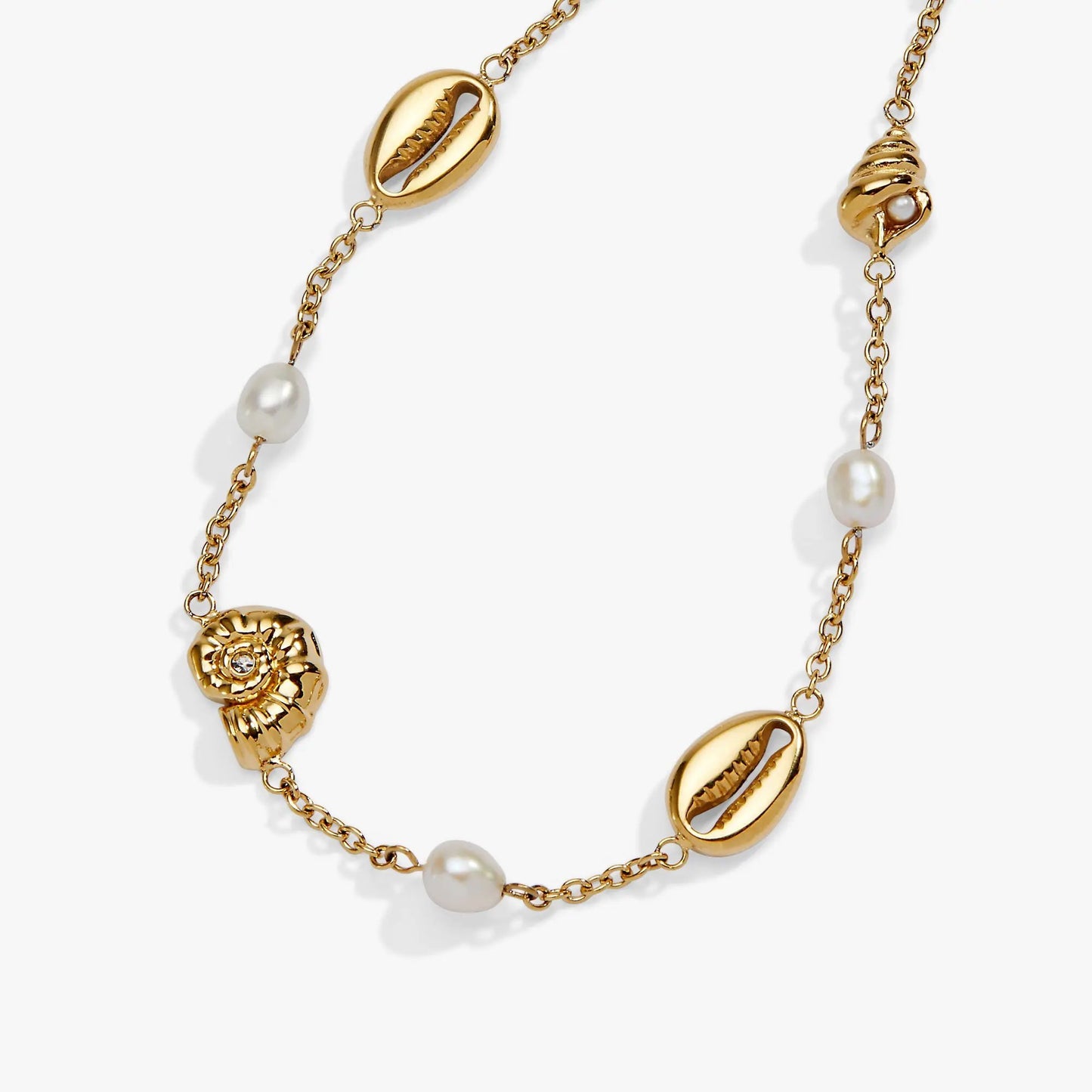 Seashell & Pearl Inline Charm Anklet goldtone chain with shell charm and pearls by ALEX AND ANI on Tampa Home & Garden Store