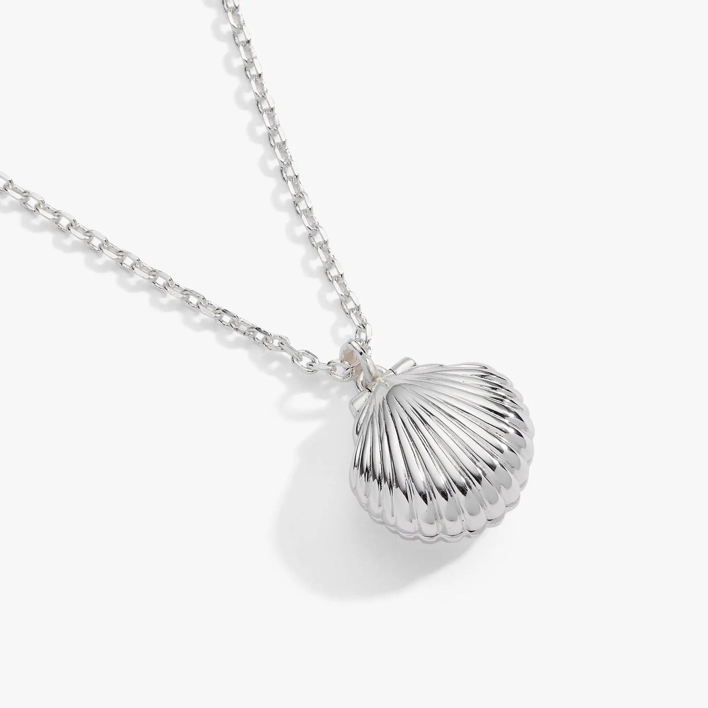 Salt and Sea Seashell Locket Pendant With Pearl