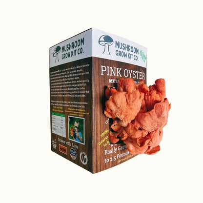 Premium Pink Oyster Mushroom Growing Kit - 5 LBS