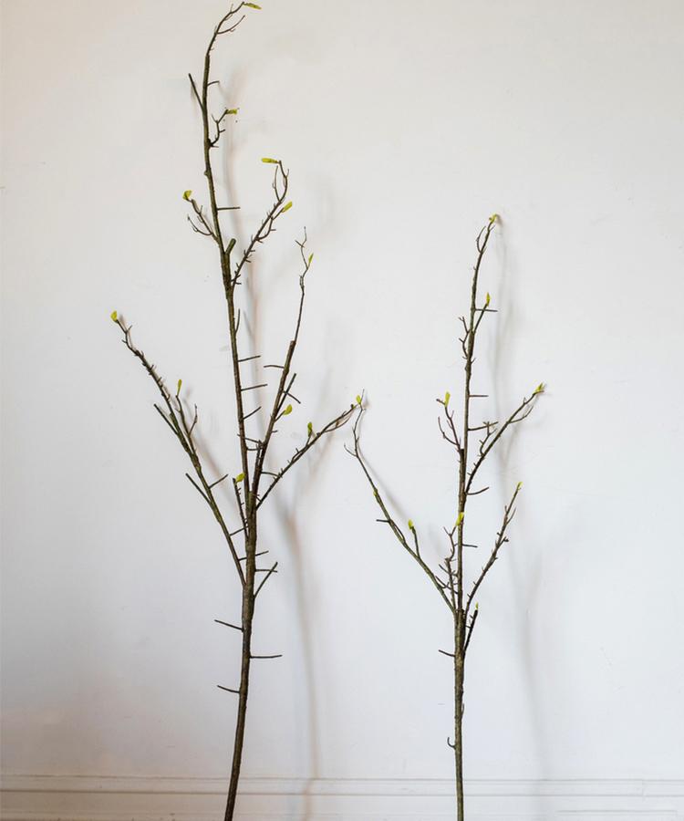 Seed Germination Branch Stem Faux by RusticReach, brown stems with yellow leaves, 2 stems on Tampa Home & Garden Store