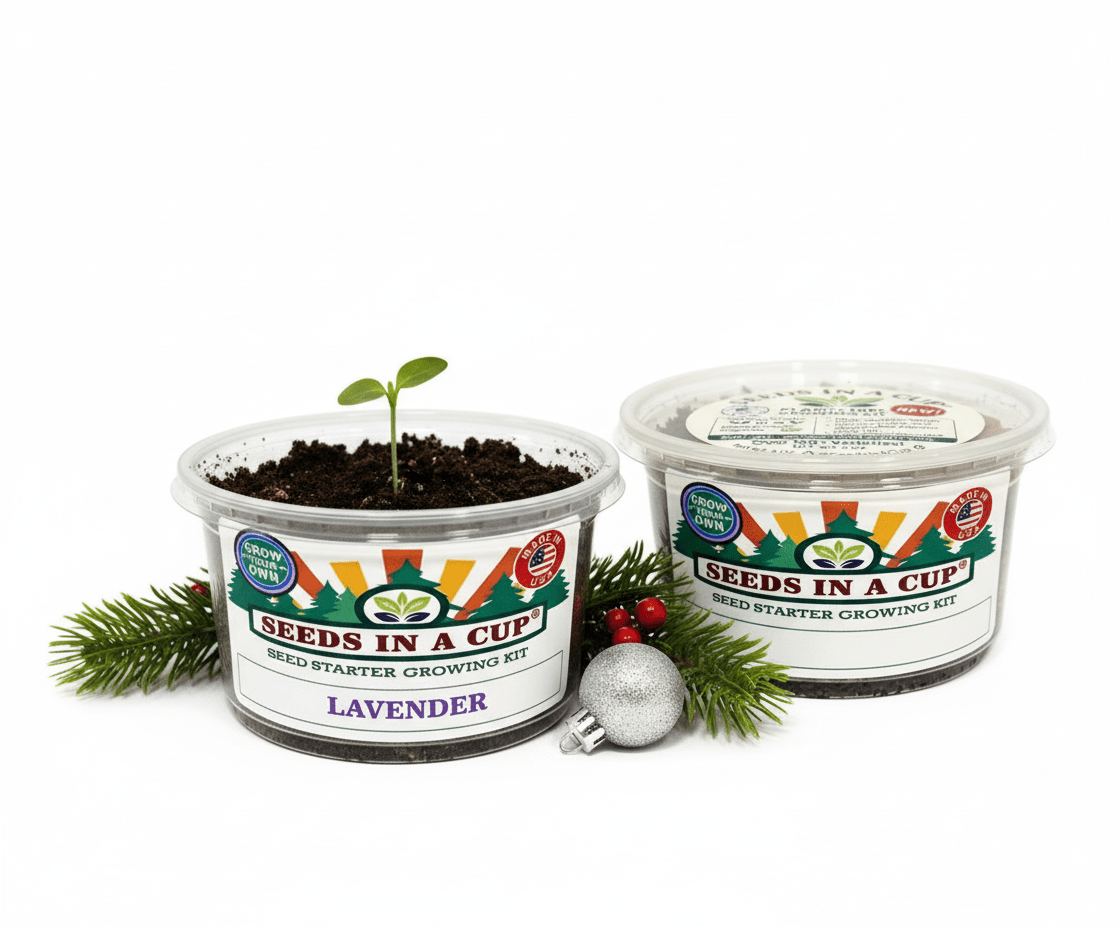 Lavender Grow Kit