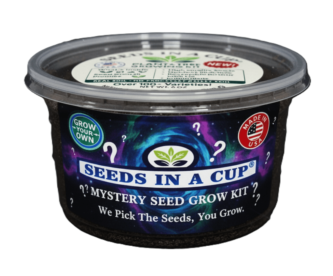 Dragon Tree Grow Kit