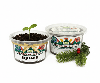 Kit de cultivo de calabazas