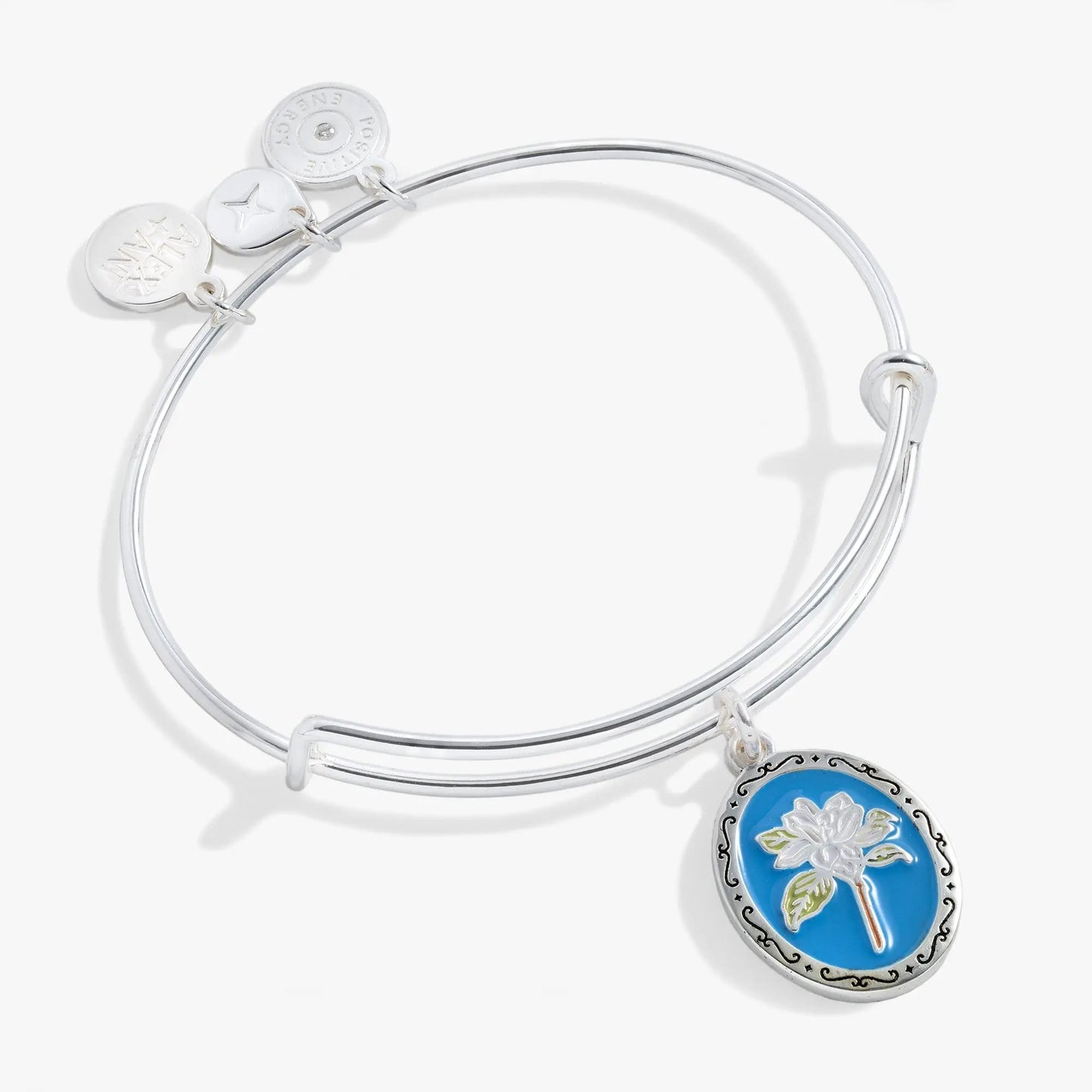 Sending Love Charm Bangle by ALEX AND ANI; blue enamel pendant and disc charms on Tampa Home & Garden Store