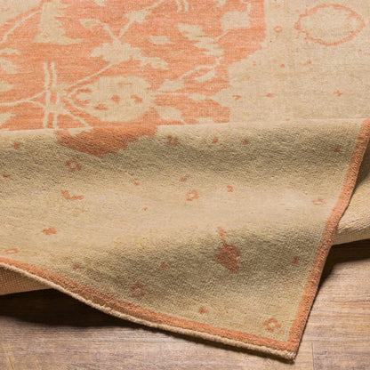 Seney Peach Area Rug by Boutique Rugs peach and cream tones, subtle pattern, plush pile on Tampa Home & Garden Store