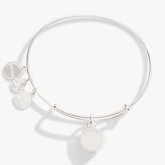 ALEX AND ANI September Birthstone Charm Bangle with silver-tone round disc charms on Tampa Home & Garden Store