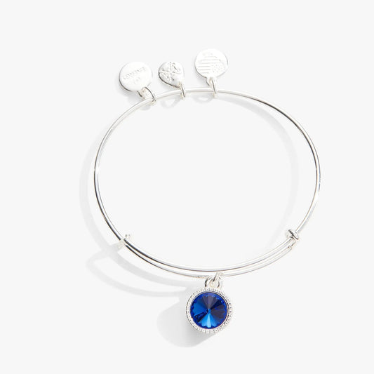 September Sapphire charm bracelet with blue pendant and 4 charms on Tampa Home & Garden Store