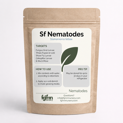 Nematodos Sf - Exterminadores de mosquitos del hongo