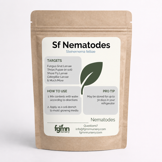 Nématodes Sf - Exterminateurs de moucherons des terreaux