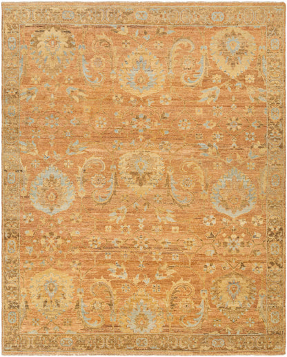 Enora Area Rug by Boutique Rugs, terracotta field with light blue floral motifs and ornate border on Tampa Home & Garden Store