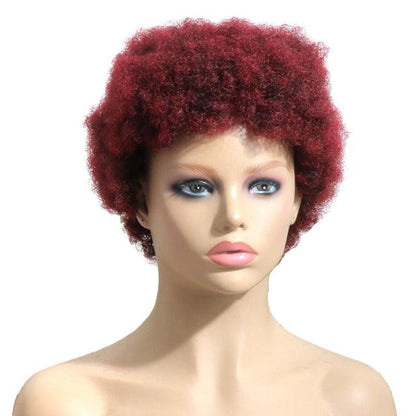 Stevvex short Afro curly wig burgundy red, Remy human hair, 150% density, full cap on Tampa Home & Garden Store