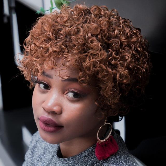 Stevvex short curly human hair wig pixie cut lace front Remy with baby hairs brown on Tampa Home & Garden Store