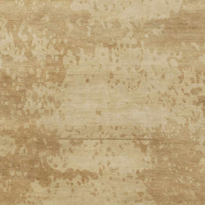 Shushan Area Carpet by Boutique Rugs in warm beige distressed pattern on Tampa Home & Garden Store