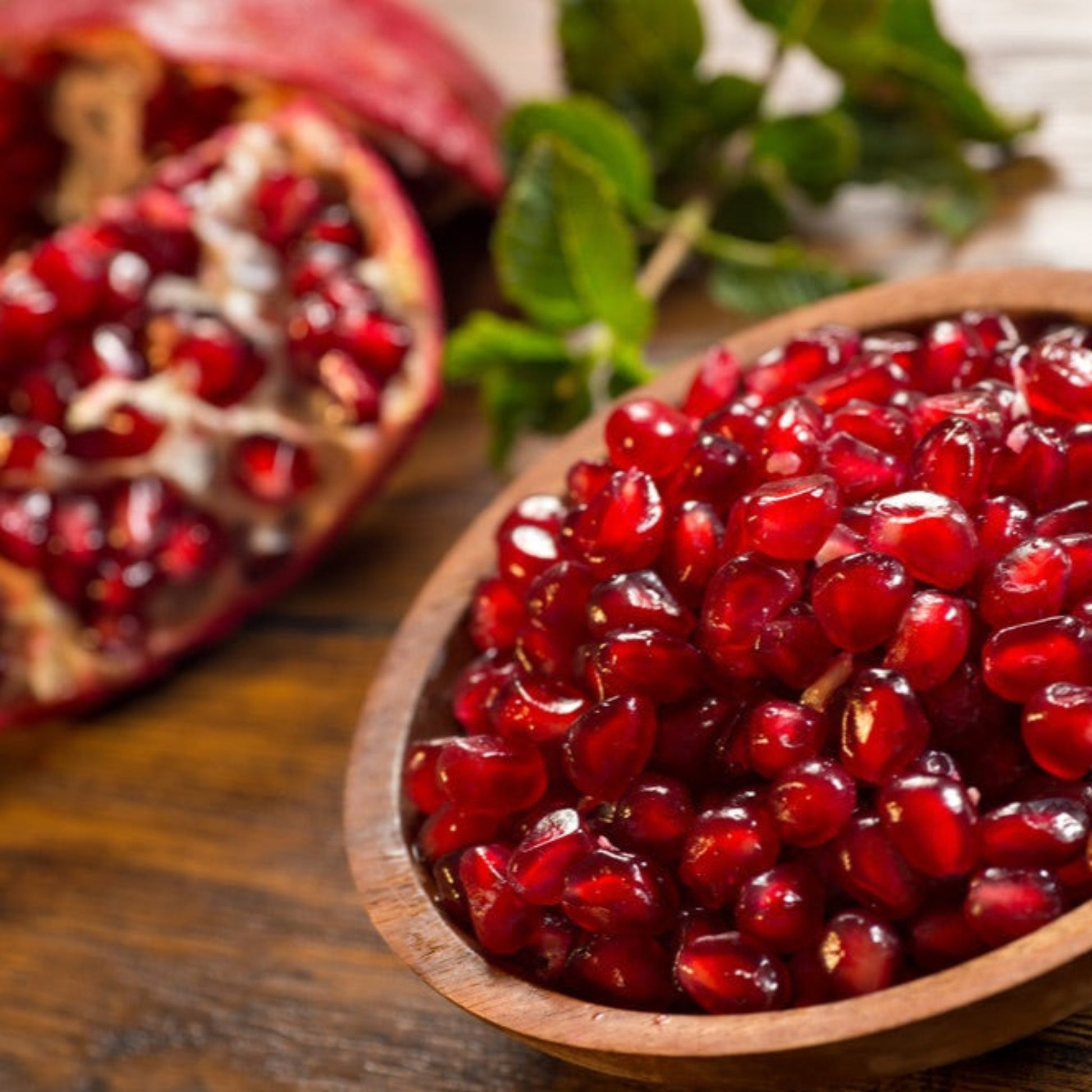 Cold Hardy Red Pomegranate seeds in a wooden bowl with glossy red arils on Tampa Home & Garden Store