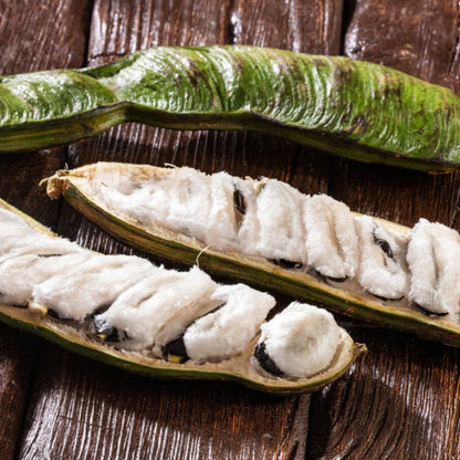 Ice Cream Bean Tree seed pods with green husks and white fluffy pulp on Tampa Home & Garden Store