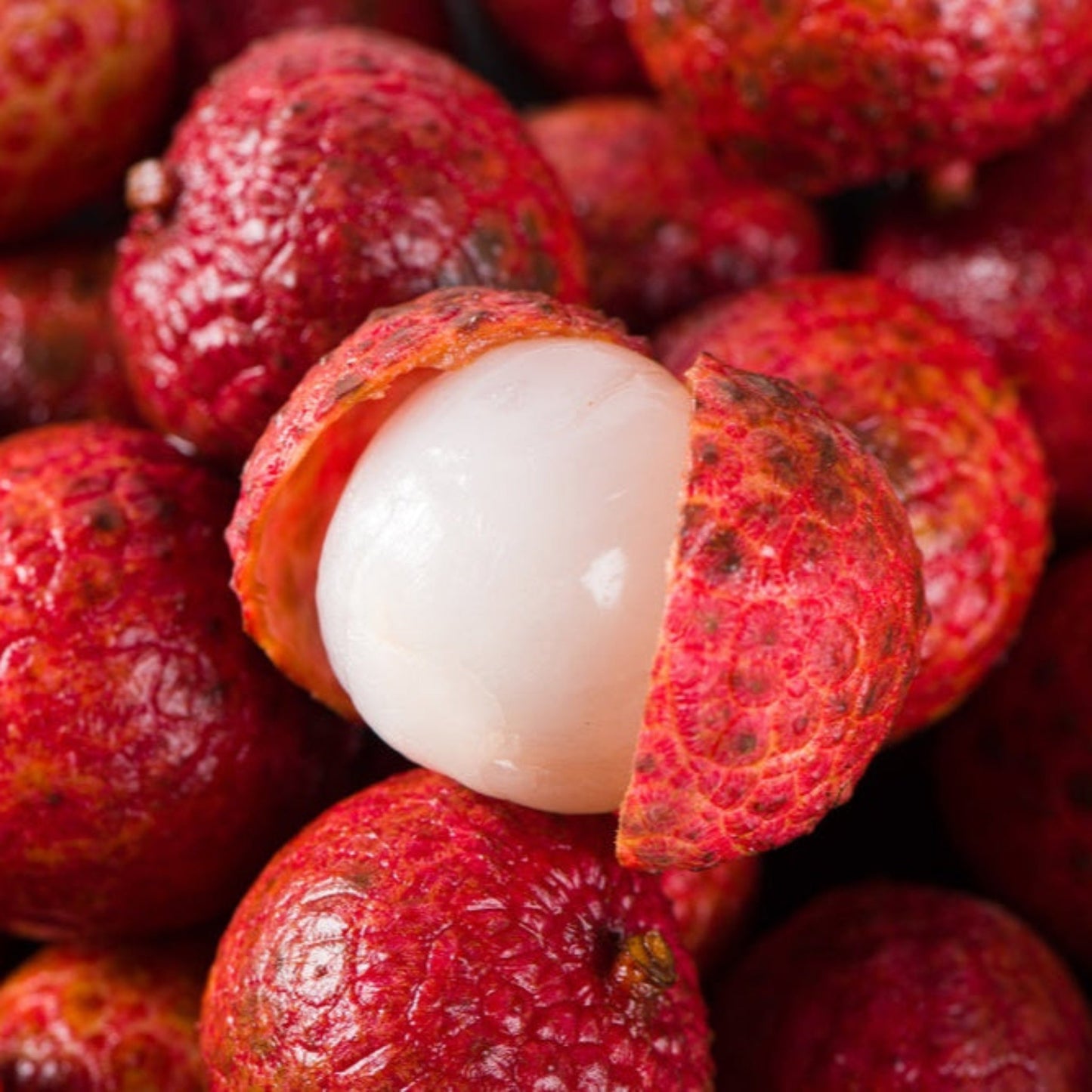 Mauritius Lychee plant fruit cluster with rough red rind and exposed white flesh on Tampa Home & Garden Store