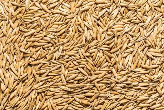 Oat seeds, golden brown, USDA Organic, Thunder Acres on Tampa Home & Garden Store