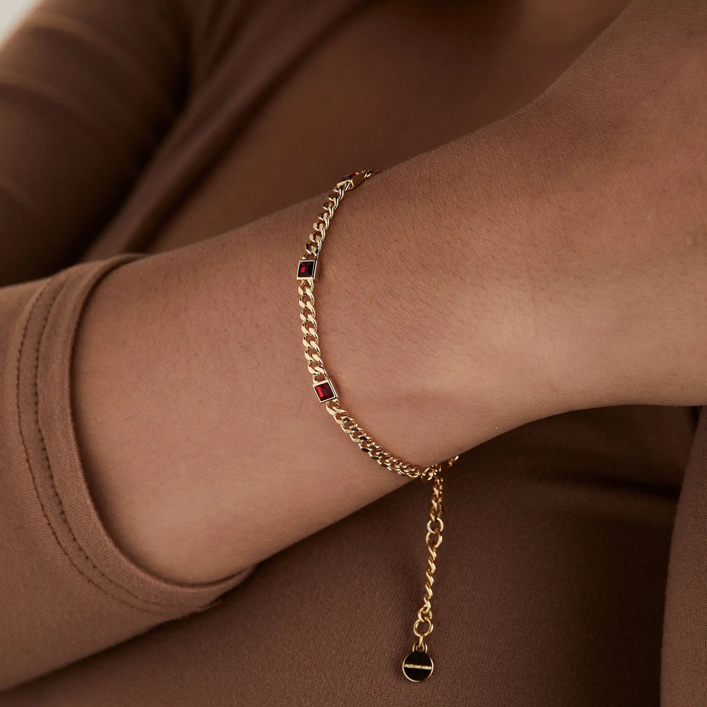 January Birthstone Scarlet Curb Chain Bracelet by ALEX AND ANI with red square gemstone on Tampa Home & Garden Store