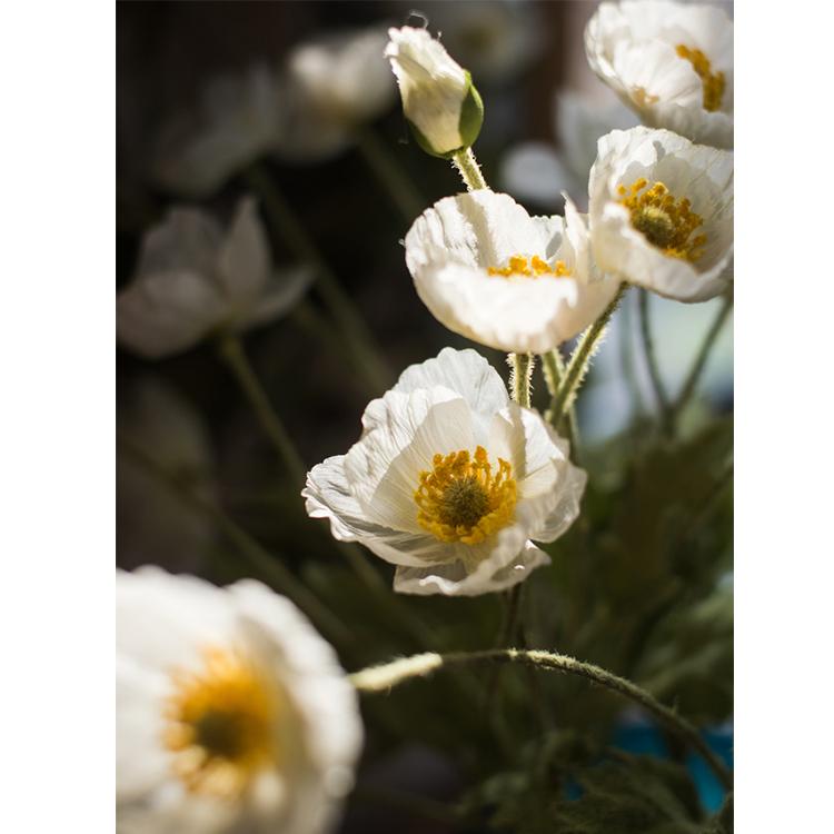 Faux silk common poppy flower stem in white, 22in tall, RusticReach artificial flowering plant on Tampa Home & Garden Store