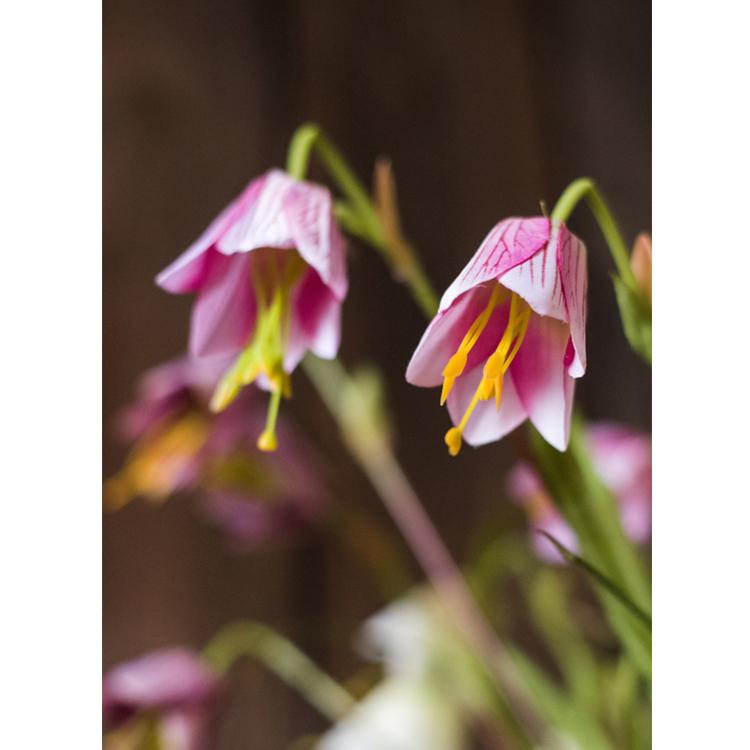 Faux Silk Fritillaries Lily flower stem with two pink-purple blooms, 26in tall RusticReach on Tampa Home & Garden Store