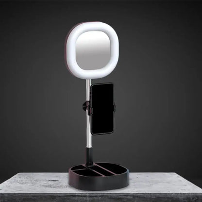 Light Blue LED Vanity Light with phone mount on adjustable stand Decorbites on Tampa Home & Garden Store