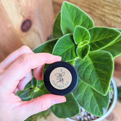 Sinningia Mix Gloxinia Seeds for Garden Blooms