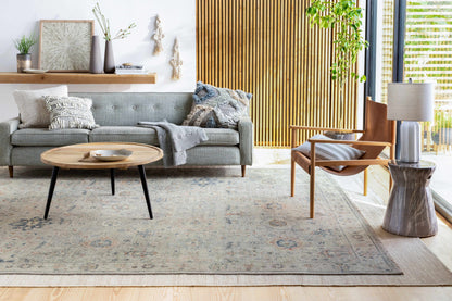 Sipocot Premium Area Rug by Boutique Rugs in light gray with subtle vintage pattern on Tampa Home & Garden Store