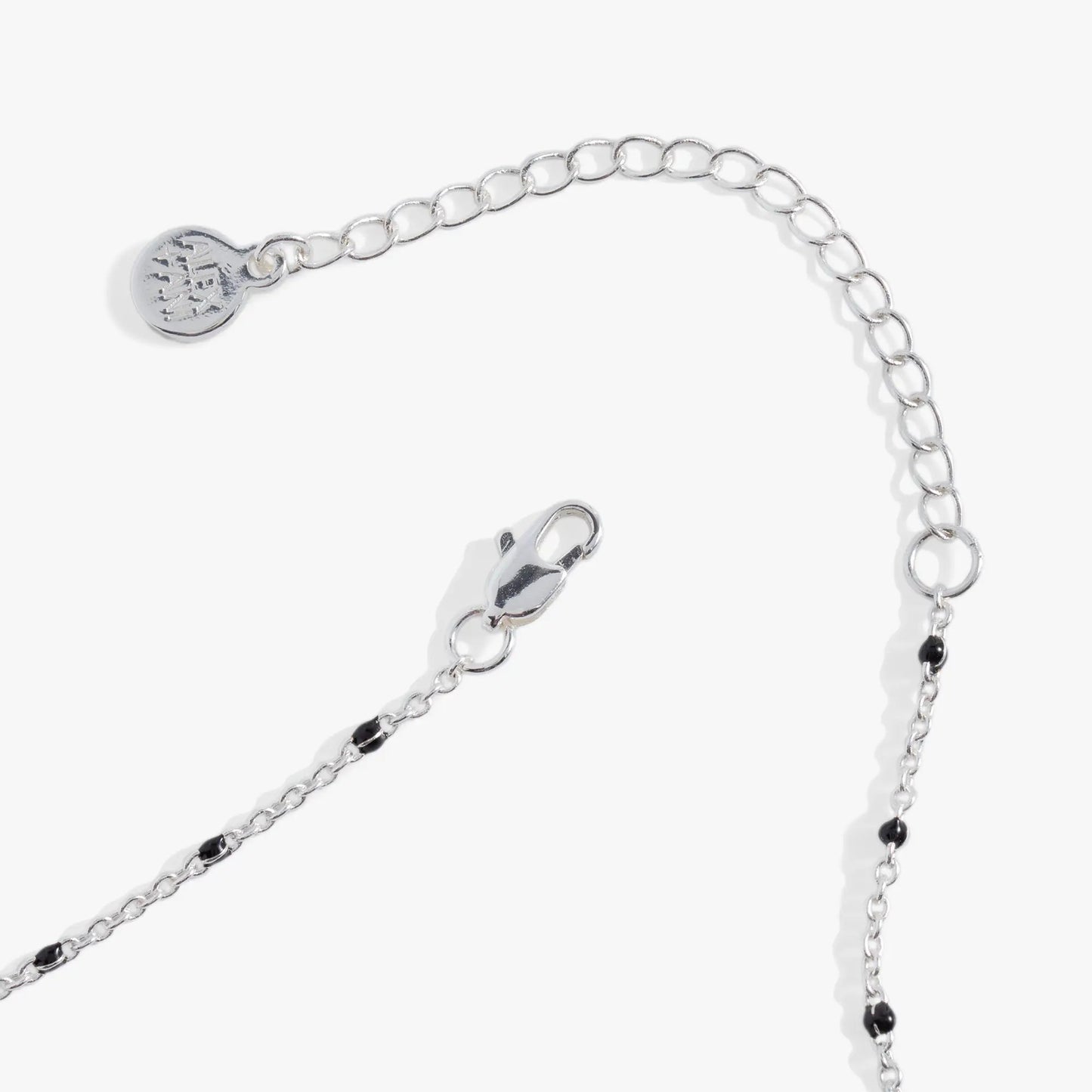 Skeleton Necklace by Alex and Ani in silver with round charm on Tampa Home & Garden Store