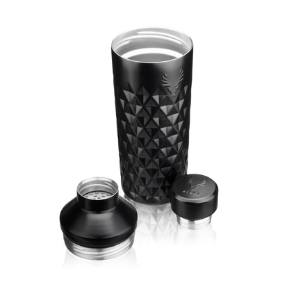 Paragon Stainless Steel Cocktail Shaker and Tin
