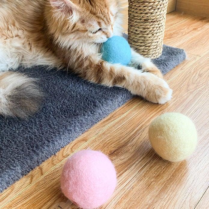 Stevvex smart cat toy ball set with pink blue yellow felt balls beside cat on wood floor on Tampa Home & Garden Store