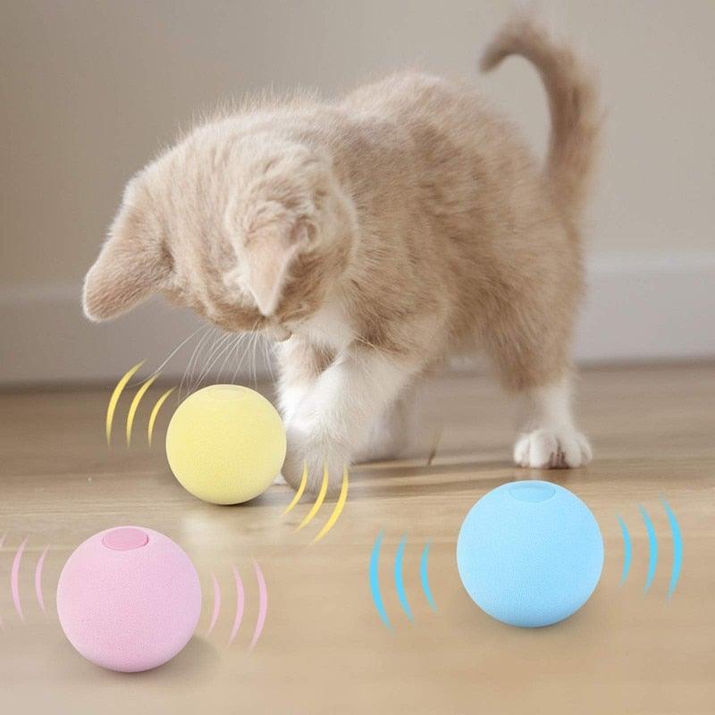 Stevvex Smart Cat Toys ball set pink blue chirp balls kitten playing on Tampa Home & Garden Store