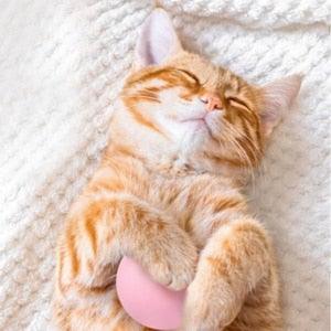 Smart cat toy pink ball held by orange tabby cat on a soft cream blanket on Tampa Home & Garden Store