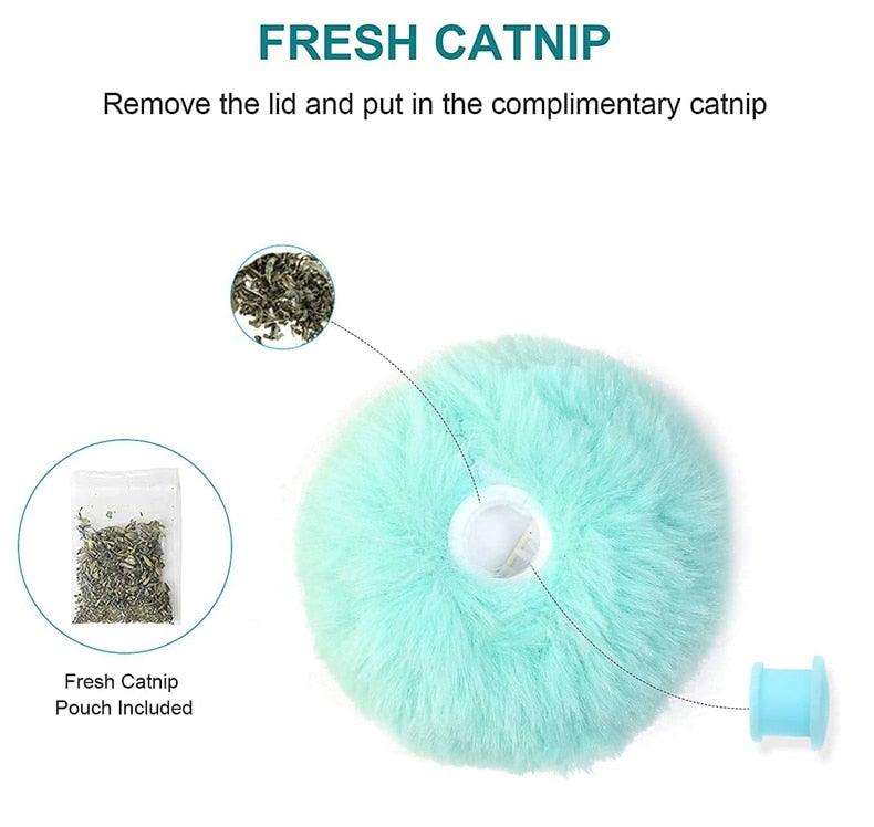 Stevvex turquoise fluffy catnip ball interactive toy with catnip pouch included on Tampa Home & Garden Store