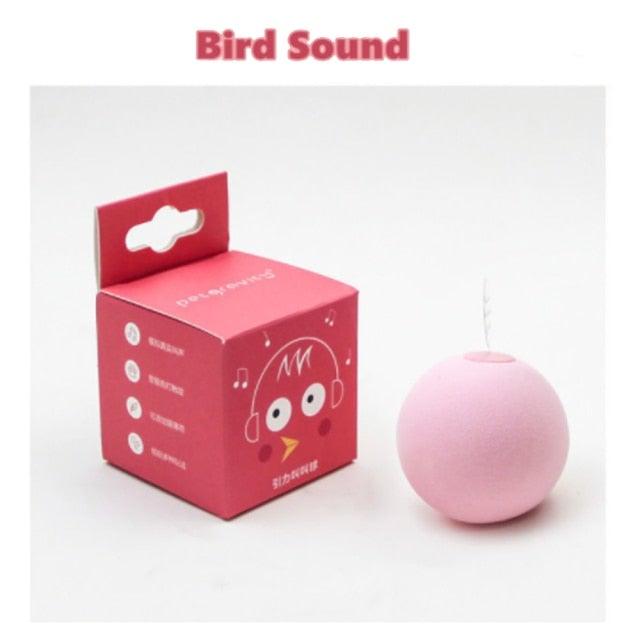 Stevvex pink interactive cat ball with chirping sounds and catnip, 2 items on Tampa Home & Garden Store