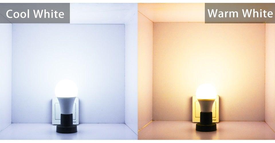 Stevvex RGBCW smart LED bulb on display showing cool white and warm white lighting on Tampa Home & Garden Store