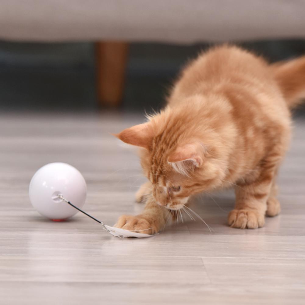Stevvex white cat toy ball with feather bell on floor on Tampa Home & Garden Store
