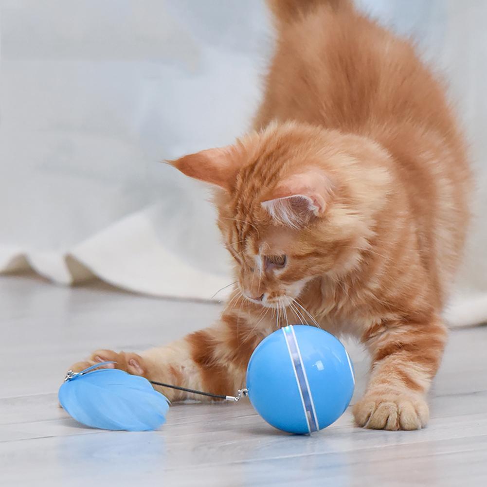 Stevvex blue LED self-rotating cat toy ball with feather and bell USB rechargeable on Tampa Home & Garden Store