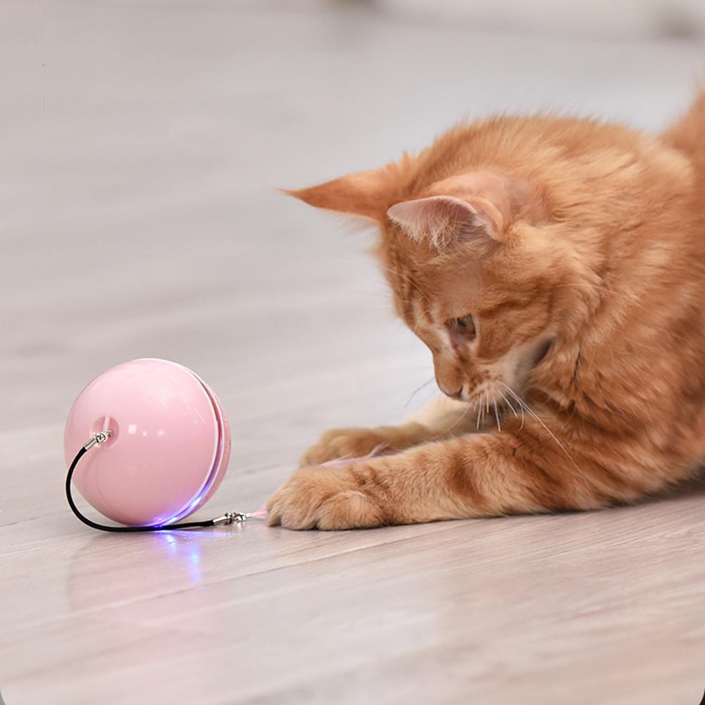 Stevvex pink LED self-rotating cat ball toy with bell and feather USB rechargeable on Tampa Home & Garden Store