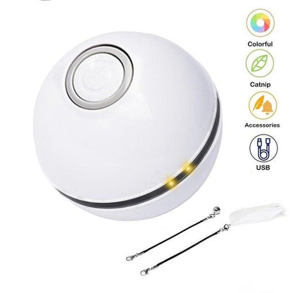 Stevvex LED cat toy ball with feather and bell, USB rechargeable, two feather wands on Tampa Home & Garden Store