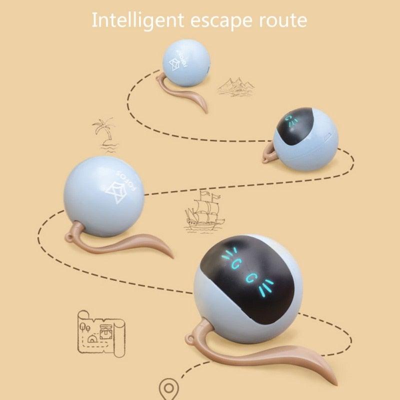 Stevvex smart cat toy ball USB rechargeable with blue shell and self-rotating rolling action on Tampa Home & Garden Store