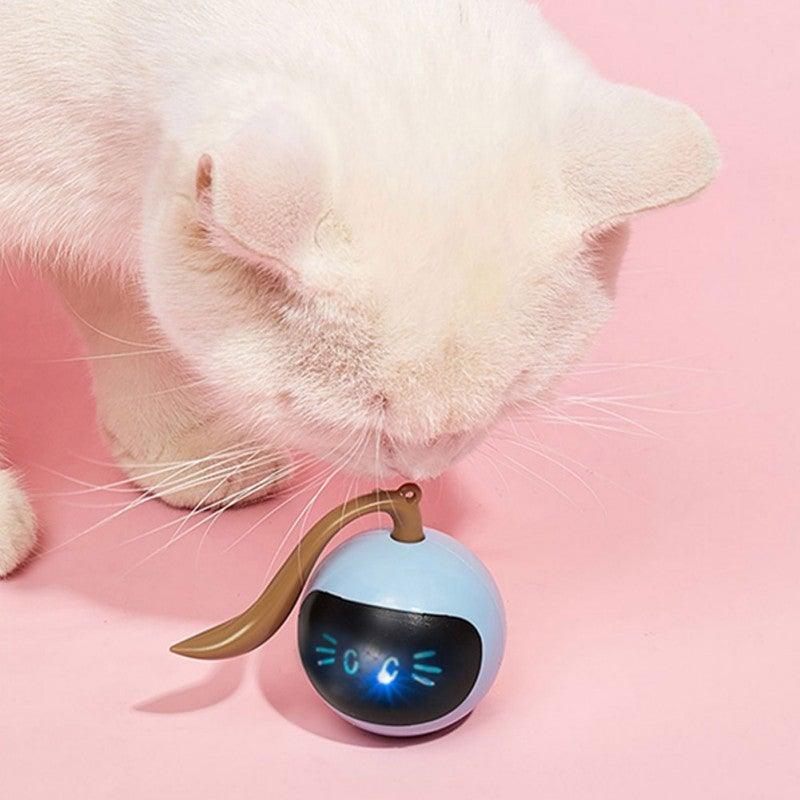 Smart cat toy ball USB rechargeable rolling chaser with LED face, blue sphere and brown tail on Tampa Home & Garden Store