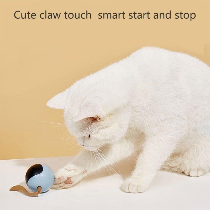 Stevvex smart cat toy USB rechargeable rolling ball blue with brown tail for cats on Tampa Home & Garden Store