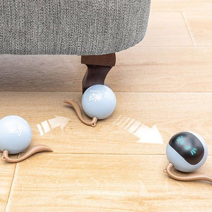 Stevvex Smart Pet Toy Ball USB rechargeable self-rotating blue cat toy 3-pack on Tampa Home & Garden Store