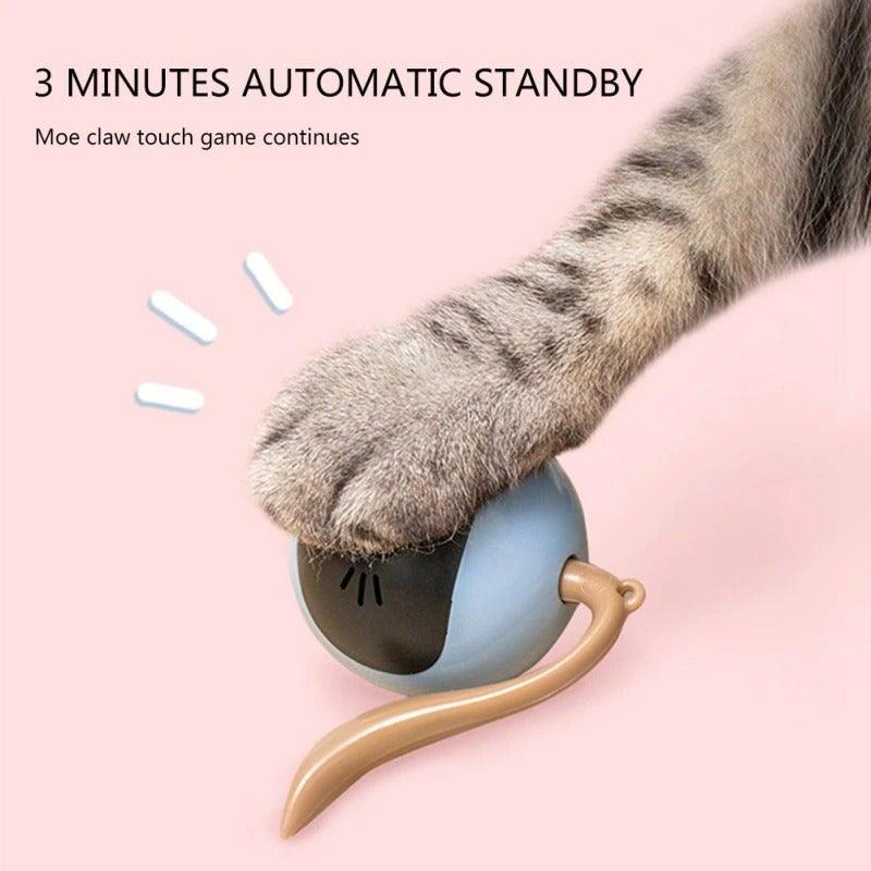 Smart cat toy ball blue with beige curved handle, self-rotating chaser for cats on Tampa Home & Garden Store