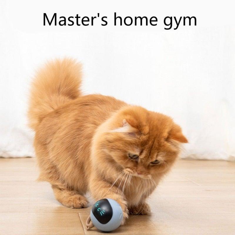 Stevvex USB rechargeable smart cat toy gray-blue rolling ball with self-rotating motion on Tampa Home & Garden Store