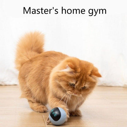 Stevvex USB rechargeable smart cat toy gray-blue rolling ball with self-rotating motion on Tampa Home & Garden Store