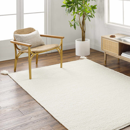 Niabi Area Rug by Boutique Rugs, cream shag in a bright living room with woven chair on Tampa Home & Garden Store